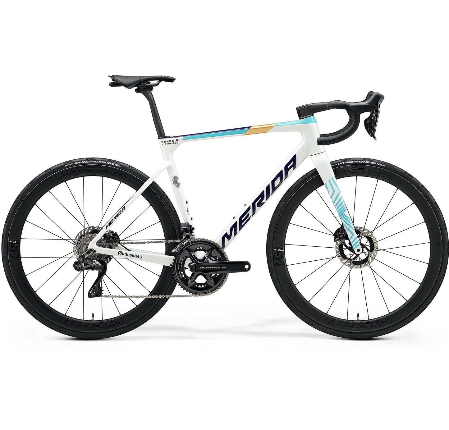 Merida Scultura Team (2025)