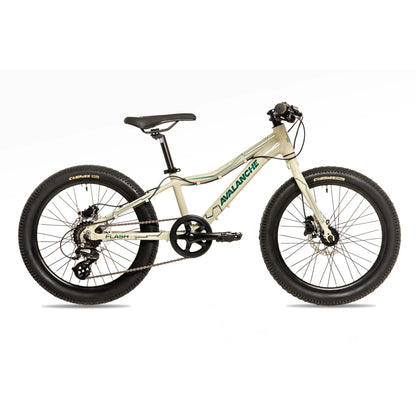 Avalanche Flash 20"