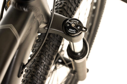 Avalanche Ignite 24"