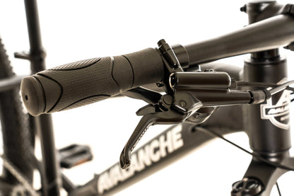 Avalanche Ignite 24"